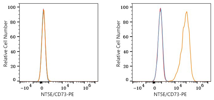 PE Rabbit anti-Human NT5E/CD73 mAb