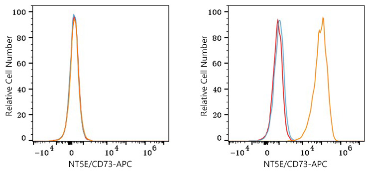 APC Rabbit anti-Human NT5E/CD73 mAb