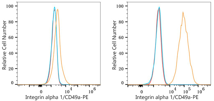 PE Rabbit anti-Mouse Integrin alpha 1/CD49a mAb