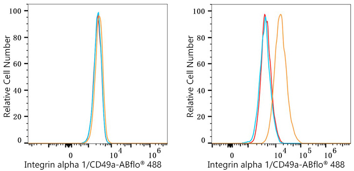 ABflo® 488 Rabbit anti-Mouse Integrin alpha 1/CD49a mAb