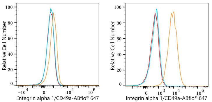 ABflo® 647 Rabbit anti-Mouse Integrin alpha 1/CD49a mAb