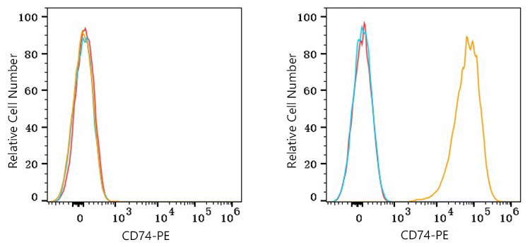 PE Rabbit anti-Human CD74 mAb