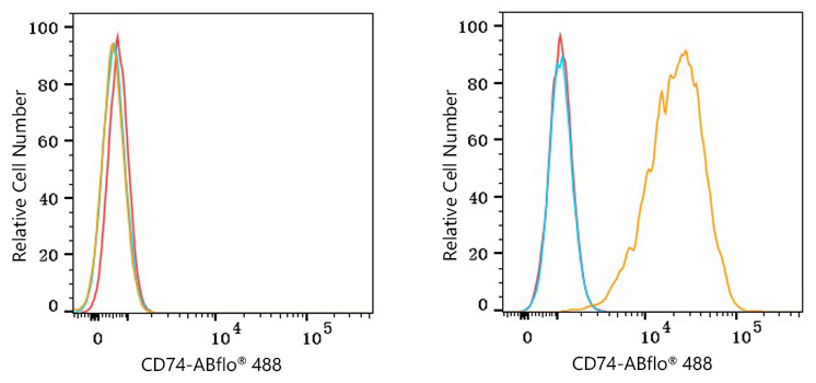 ABflo® 488 Rabbit anti-Human CD74 mAb