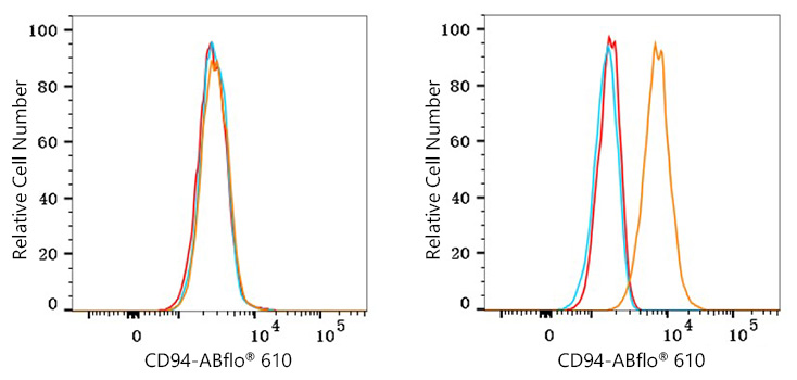 ABflo® 610 Rabbit anti-Human CD94 mAb