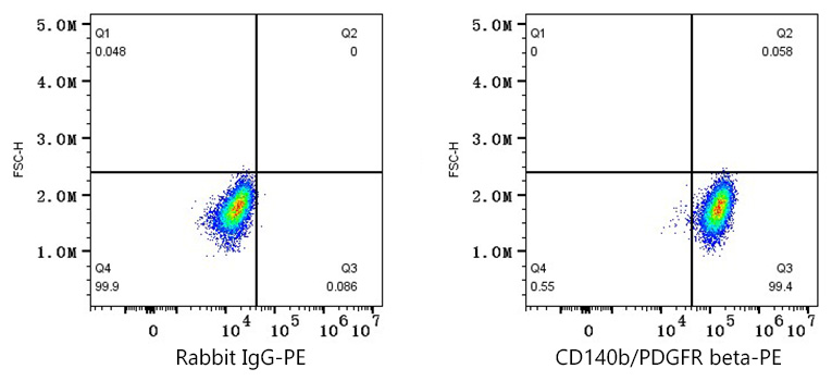 PE Rabbit anti-Mouse CD140b/PDGFR beta mAb