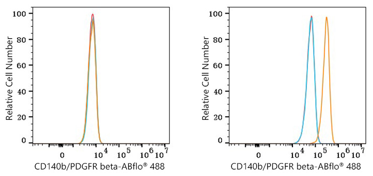 ABflo® 488 Rabbit anti-Mouse CD140b/PDGFR beta mAb