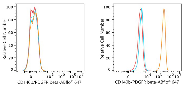 ABflo® 647 Rabbit anti-Mouse CD140b/PDGFR beta mAb