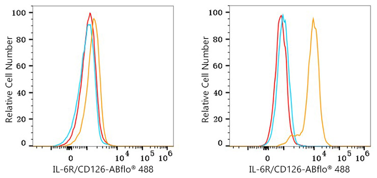 ABflo® 488 Rabbit anti-Human IL-6R/CD126 mAb