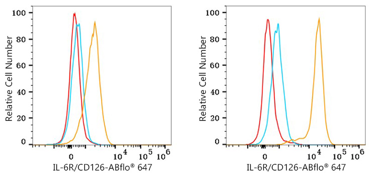 ABflo® 647 Rabbit anti-Human IL-6R/CD126 mAb