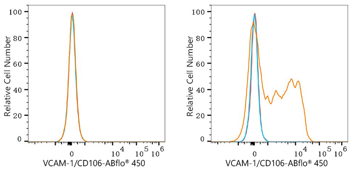 ABflo® 450 Rabbit anti-Human VCAM-1/CD106 mAb