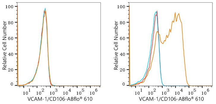 ABflo® 610 Rabbit anti-Human VCAM-1/CD106 mAb