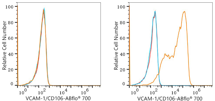 ABflo® 700 Rabbit anti-Human VCAM-1/CD106 mAb