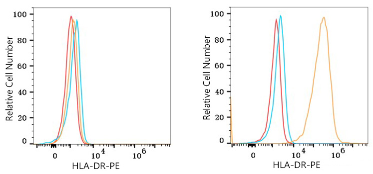 PE Rabbit anti-Human HLA-DR mAb