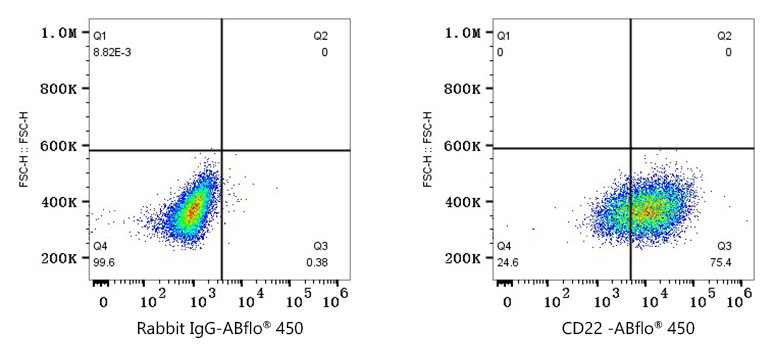 ABflo® 450 Rabbit anti-Human CD22 mAb