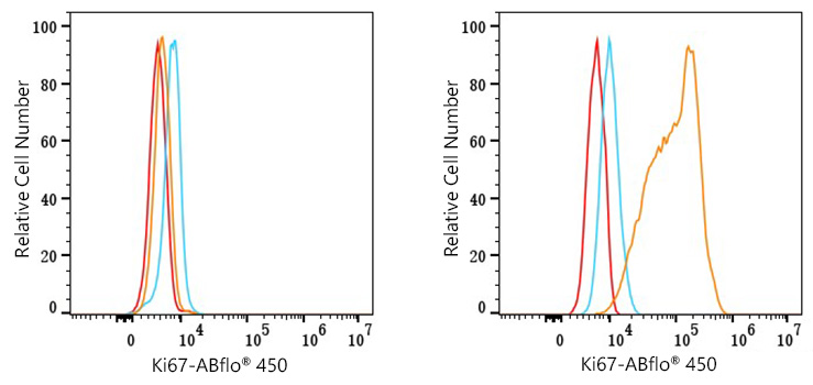 ABflo® 450 Rabbit anti-Human Ki67 mAb