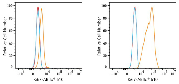 ABflo® 610 Rabbit anti-Human Ki67 mAb