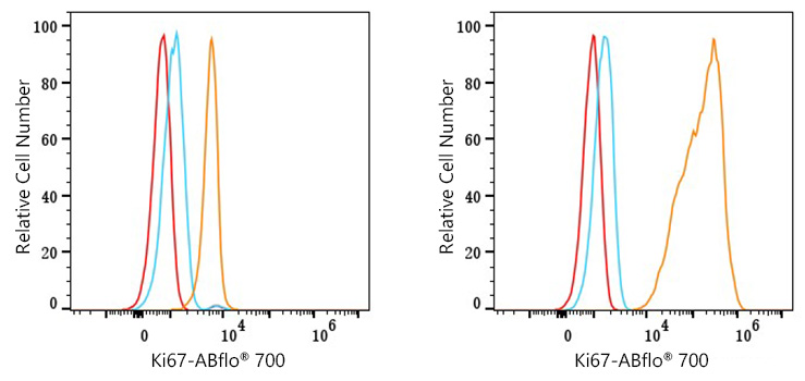 ABflo® 700 Rabbit anti-Human Ki67 mAb