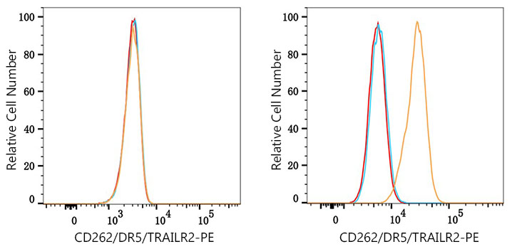 PE Rabbit anti-Human CD262/DR5/TRAILR2 mAb