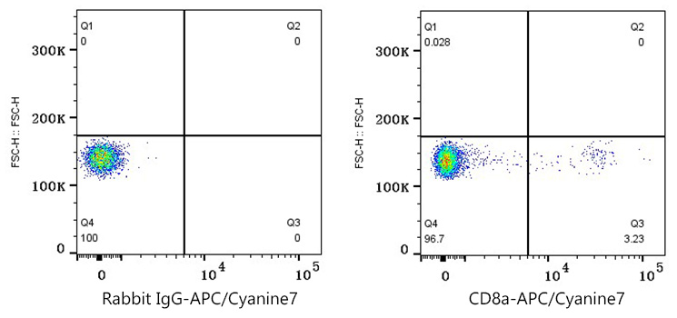 APC/Cyanine7 Rabbit anti-Mouse CD8a mAb