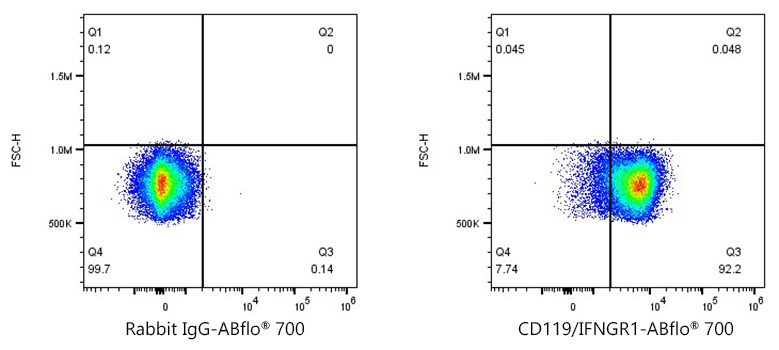 ABflo® 700 Rabbit anti-Human CD119/IFNGR1 mAb