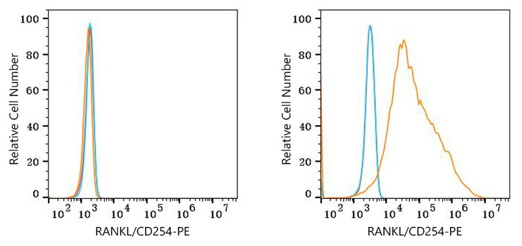 PE Rabbit anti-Human RANKL/CD254 mAb