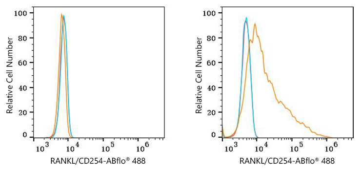 ABflo® 488 Rabbit anti-Human RANKL/CD254 mAb