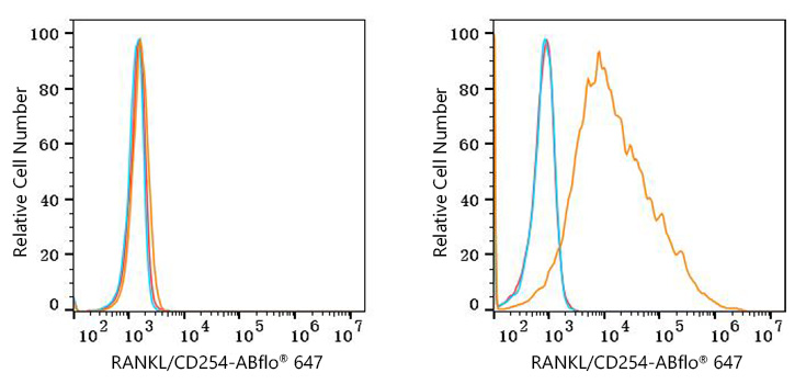 ABflo® 647 Rabbit anti-Human RANKL/CD254 mAb