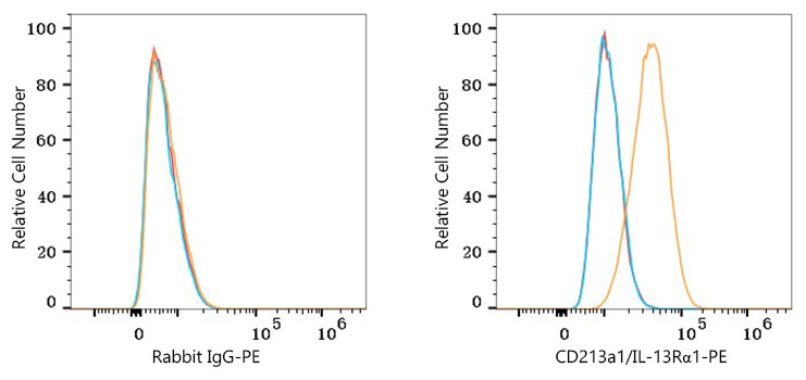 PE Rabbit anti-Human CD213a1/IL-13Rα1 mAb