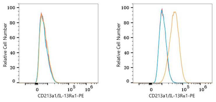 PE Rabbit anti-Human CD213a1/IL-13Rα1 mAb