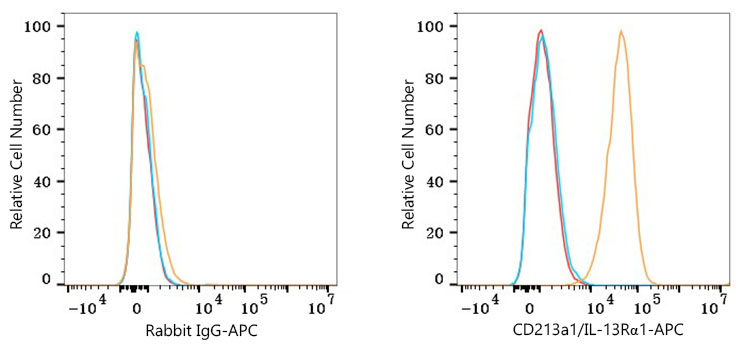 APC Rabbit anti-Human CD213a1/IL-13Rα1 mAb