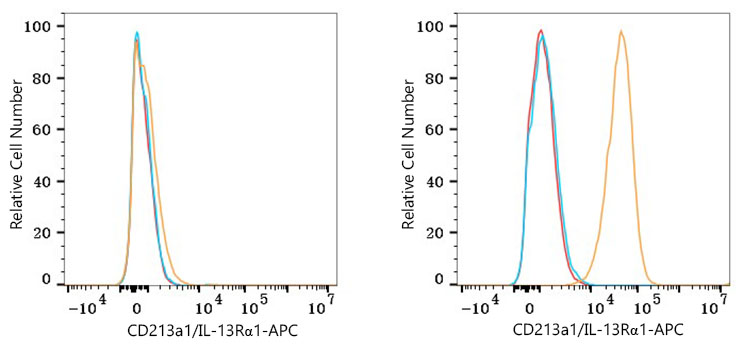 APC Rabbit anti-Human CD213a1/IL-13Rα1 mAb