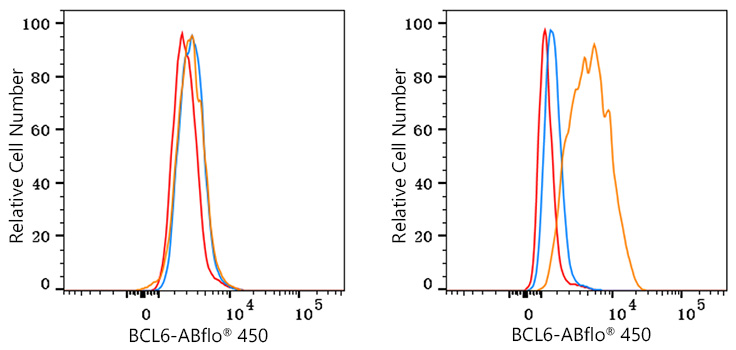 ABflo® 450 Rabbit anti-Human/Mouse BCL6 mAb