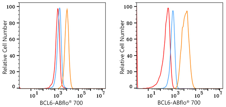 ABflo® 700 Rabbit anti-Human/Mouse BCL6 mAb