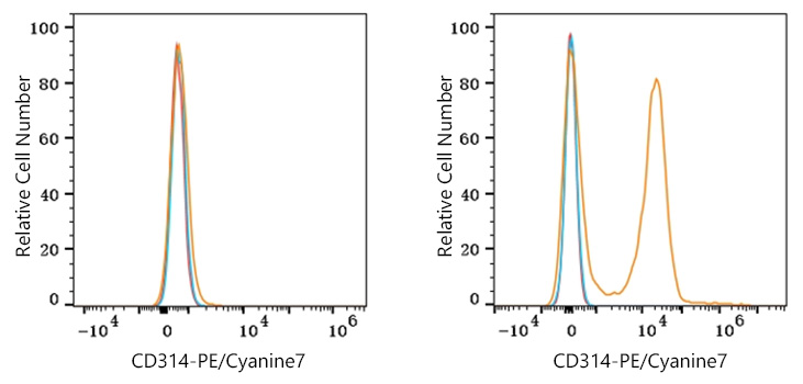 PE/Cyanine7 Rabbit anti-Human CD314 mAb