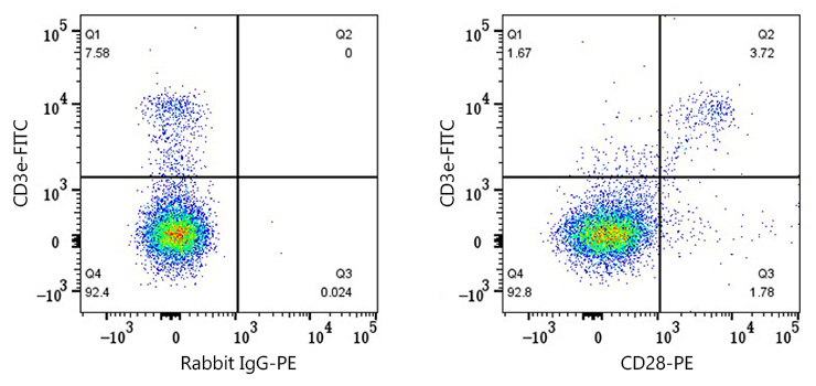 PE Rabbit anti-Mouse CD28 mAb