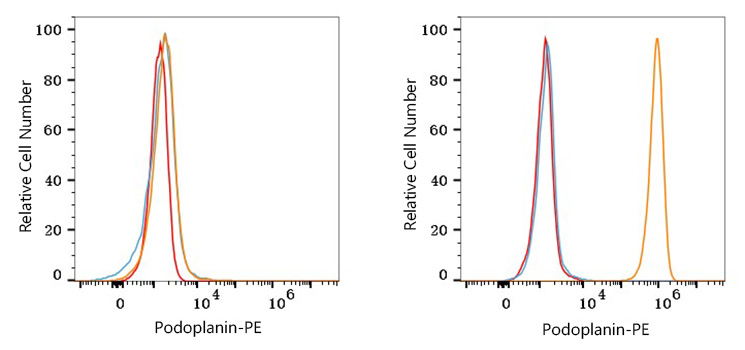 PE Rabbit anti-Human Podoplanin mAb