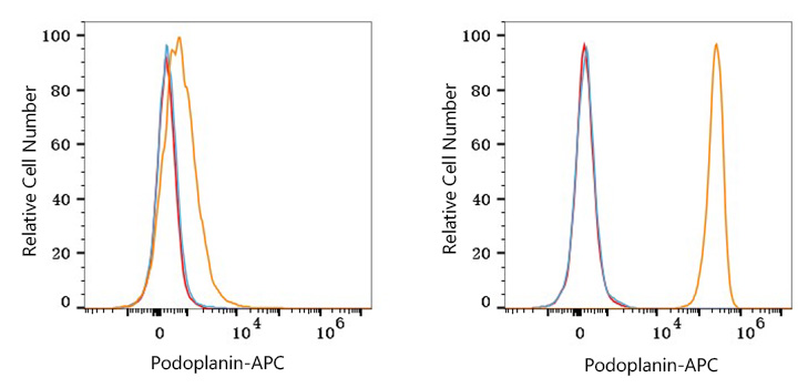 APC Rabbit anti-Human Podoplanin mAb