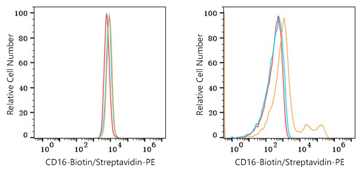 Biotin Rabbit anti-Human CD16 mAb