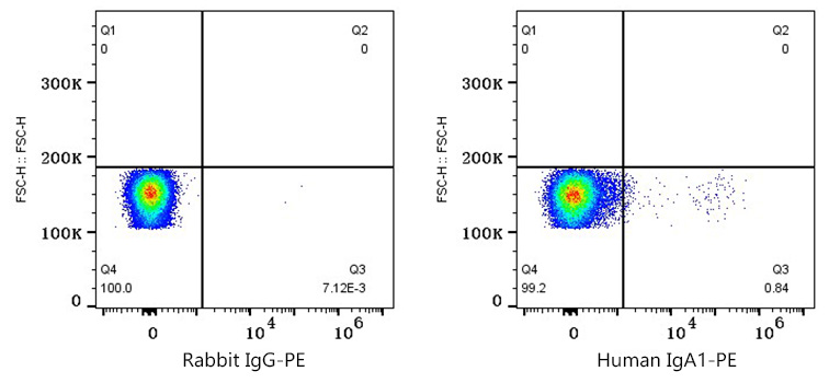 PE Rabbit anti-Human IgA1 mAb