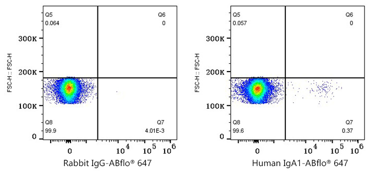 ABflo® 647 Rabbit anti-Human IgA1 mAb