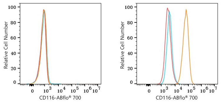 ABflo® 700 Rabbit anti-Human CD116 mAb