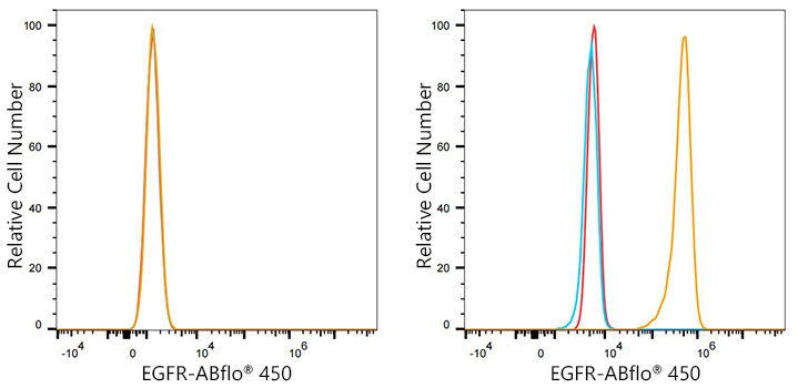 ABflo® 450 Rabbit anti-Human EGFR mAb