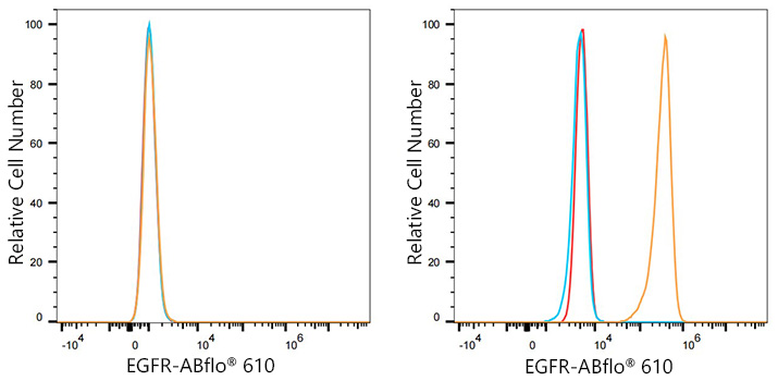 ABflo® 610 Rabbit anti-Human EGFR mAb