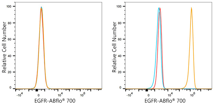 ABflo® 700 Rabbit anti-Human EGFR mAb