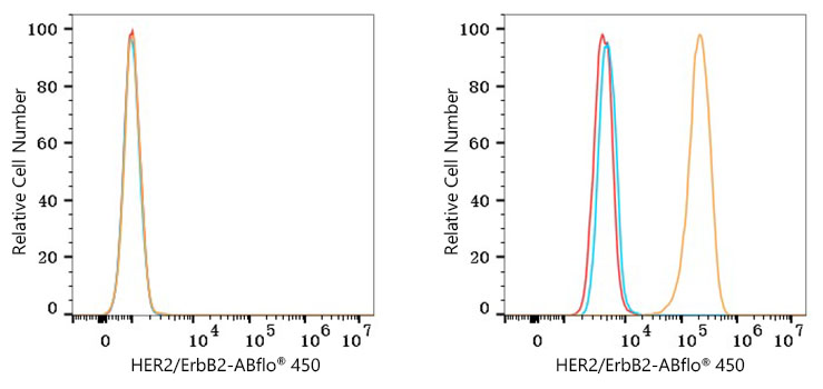 ABflo® 450 Rabbit anti-Human HER2/ErbB2 mAb