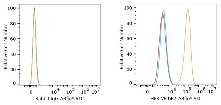 ABflo® 610 Rabbit anti-Human HER2/ErbB2 mAb