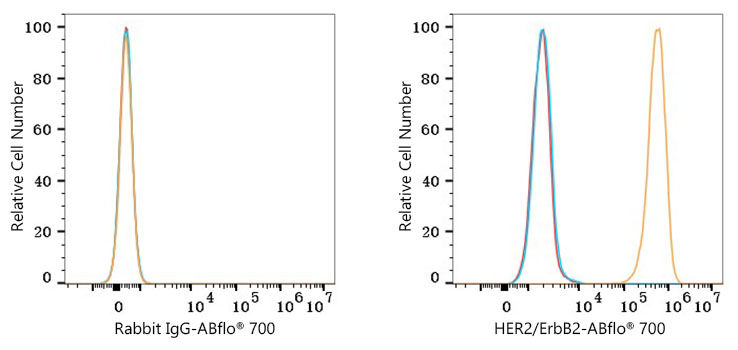 ABflo® 700 Rabbit anti-Human HER2/ErbB2 mAb