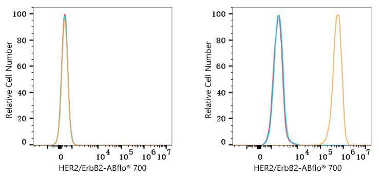 ABflo® 700 Rabbit anti-Human HER2/ErbB2 mAb