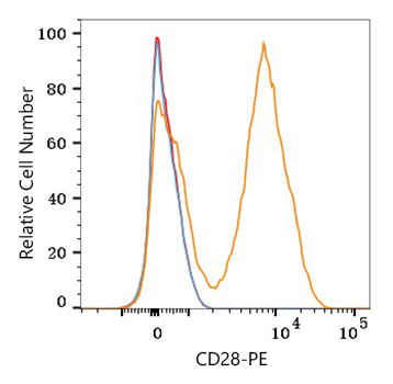 PE Rabbit anti-Human CD28 mAb