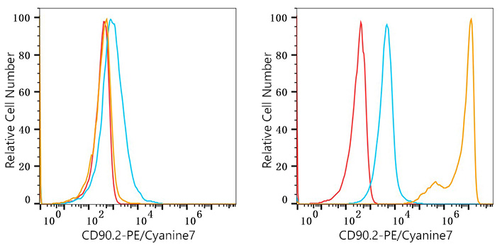 PE/Cyanine7 Rabbit anti-Mouse CD90.2 mAb